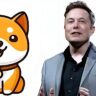 baby doge coin price prediction