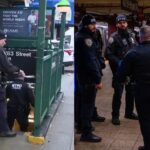 Subways Bag Checks